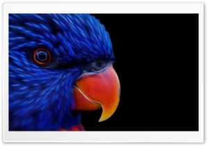 Great Animals Ultra HD Wallpaper for 4K UHD Widescreen desktop, tablet & smartphone