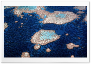 Great Barrier Reef Ultra HD Wallpaper for 4K UHD Widescreen desktop, tablet & smartphone