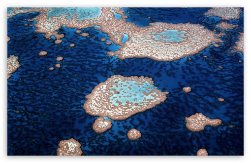 Great Barrier Reef Ultra HD Desktop Background Wallpaper for 4K UHD TV :  Widescreen & UltraWide Desktop & Laptop