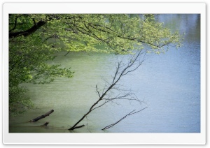 Green and Blue. water Ultra HD Wallpaper for 4K UHD Widescreen desktop, tablet & smartphone
