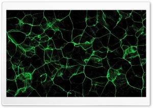Green, Dark, Abstract Ultra HD Wallpaper for 4K UHD Widescreen desktop, tablet & smartphone