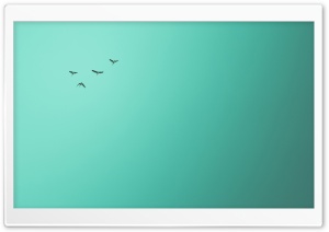 Green Geese Ultra HD Wallpaper for 4K UHD Widescreen desktop, tablet & smartphone
