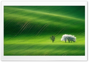 Green Hills Nature Scenery Ultra HD Wallpaper for 4K UHD Widescreen desktop, tablet & smartphone