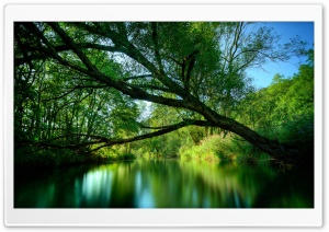 Green Lake Ultra HD Wallpaper for 4K UHD Widescreen desktop, tablet & smartphone