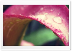 Green Light 10 Ultra HD Wallpaper for 4K UHD Widescreen desktop, tablet & smartphone