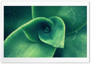 Green Light 12 Ultra HD Wallpaper for 4K UHD Widescreen desktop, tablet & smartphone