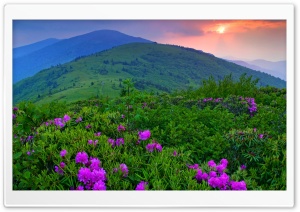 Green Mountains Ultra HD Wallpaper for 4K UHD Widescreen desktop, tablet & smartphone
