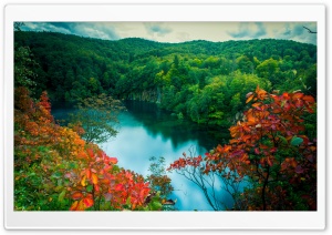 Green Paradise Ultra HD Wallpaper for 4K UHD Widescreen desktop, tablet & smartphone