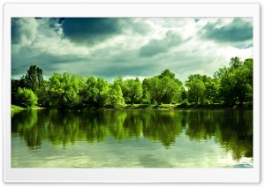 Green Trees Ultra HD Wallpaper for 4K UHD Widescreen desktop, tablet & smartphone