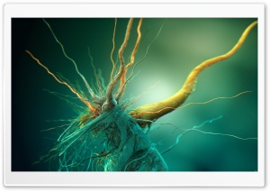 Growth Of Cubic Bacteria Ultra HD Wallpaper for 4K UHD Widescreen desktop, tablet & smartphone