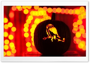 Halloween Bokeh Ultra HD Wallpaper for 4K UHD Widescreen desktop, tablet & smartphone