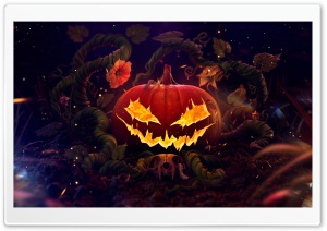 Halloween, Spooky Jack O Lantern 2024 Ultra HD Wallpaper for 4K UHD Widescreen desktop, tablet & smartphone