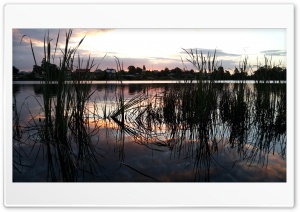 Hamilton lake. New zealand Ultra HD Wallpaper for 4K UHD Widescreen desktop, tablet & smartphone