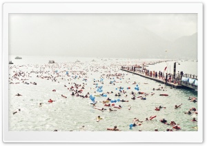 Happy Swimmers Ultra HD Wallpaper for 4K UHD Widescreen desktop, tablet & smartphone