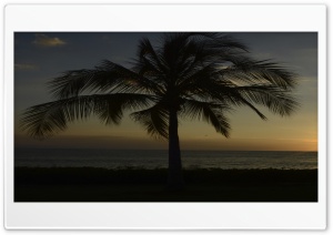 Hawaii Ultra HD Wallpaper for 4K UHD Widescreen desktop, tablet & smartphone