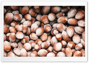 Hazelnuts Ultra HD Wallpaper for 4K UHD Widescreen desktop, tablet & smartphone