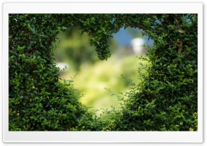 Heart Background Ultra HD Wallpaper for 4K UHD Widescreen desktop, tablet & smartphone