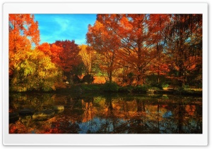 Herbst Ultra HD Wallpaper for 4K UHD Widescreen desktop, tablet & smartphone