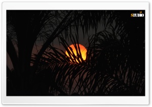 Hidden Sun Ultra HD Wallpaper for 4K UHD Widescreen desktop, tablet & smartphone