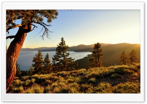 Highland Ultra HD Wallpaper for 4K UHD Widescreen desktop, tablet & smartphone