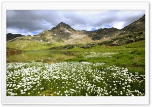 Hill Mountain - Holm Gora Ultra HD Wallpaper for 4K UHD Widescreen desktop, tablet & smartphone