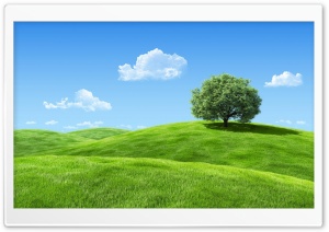Hills With Tree Ultra HD Wallpaper for 4K UHD Widescreen desktop, tablet & smartphone