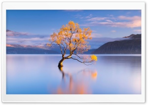 Honor Magic VS, Nature Ultra HD Wallpaper for 4K UHD Widescreen desktop, tablet & smartphone