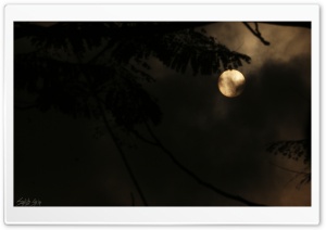 Horror sunrise Ultra HD Wallpaper for 4K UHD Widescreen desktop, tablet & smartphone