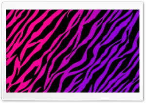 Hot Pink Purple Zebra Print Ultra HD Wallpaper for 4K UHD Widescreen desktop, tablet & smartphone