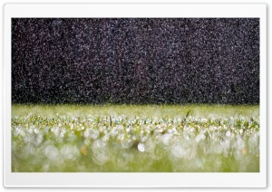 Hot Summer Rain Ultra HD Wallpaper for 4K UHD Widescreen desktop, tablet & smartphone
