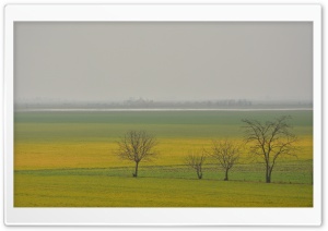 Hungarian Spring Ultra HD Wallpaper for 4K UHD Widescreen desktop, tablet & smartphone