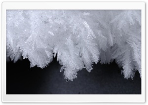 Ice Flowers Ultra HD Wallpaper for 4K UHD Widescreen desktop, tablet & smartphone