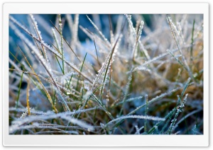 Icy Memories Ultra HD Wallpaper for 4K UHD Widescreen desktop, tablet & smartphone