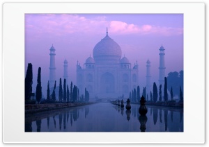 India, Purple Ultra HD Wallpaper for 4K UHD Widescreen desktop, tablet & smartphone