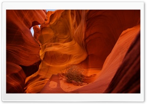 Inside of Lower Antelope Canyon Ultra HD Wallpaper for 4K UHD Widescreen desktop, tablet & smartphone