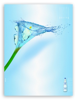 ioli lilly UltraHD Wallpaper for iPad 1/2/Mini ; Mobile 4:3 - UXGA XGA SVGA ;