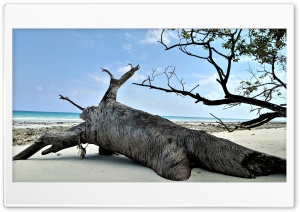 Island Beach Ultra HD Wallpaper for 4K UHD Widescreen desktop, tablet & smartphone