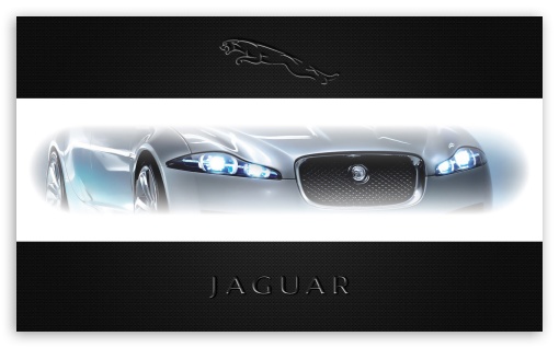Jaguar UltraHD Wallpaper for Wide 5:3 Widescreen WGA ; 8K UHD TV 16:9 Ultra High Definition 2160p 1440p 1080p 900p 720p ; Mobile 5:3 - WGA ;