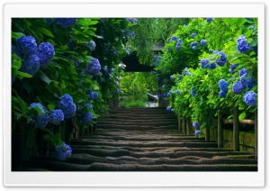 Japanese Garden - Stairs Ultra HD Wallpaper for 4K UHD Widescreen desktop, tablet & smartphone