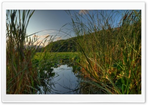 Jensen Lake at Lebanon Hills Regional Park, Eagan, MN Ultra HD Wallpaper for 4K UHD Widescreen desktop, tablet & smartphone