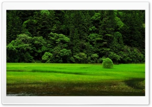 Jianzhuhai Ultra HD Wallpaper for 4K UHD Widescreen desktop, tablet & smartphone