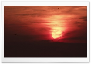 Journey To The Sun Ultra HD Wallpaper for 4K UHD Widescreen desktop, tablet & smartphone