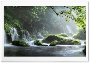 Jungle Paradise Ultra HD Wallpaper for 4K UHD Widescreen desktop, tablet & smartphone