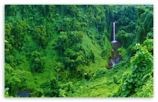 Jungle Waterfall Ultra HD Desktop Background Wallpaper for : Multi Display,  Dual Monitor : Tablet : Smartphone
