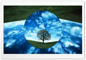 Just a Tree Ultra HD Wallpaper for 4K UHD Widescreen desktop, tablet & smartphone