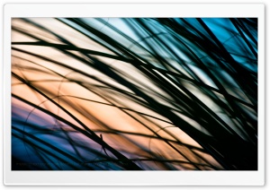 Just Haven't Met You Yet Ultra HD Wallpaper for 4K UHD Widescreen desktop, tablet & smartphone