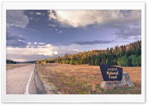 Kaibab National Forest, Arizona Ultra HD Wallpaper for 4K UHD Widescreen desktop, tablet & smartphone