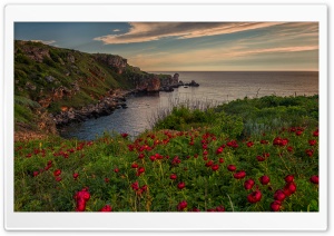 Kamen Bryag - Black Sea - Bulgaria Ultra HD Wallpaper for 4K UHD Widescreen desktop, tablet & smartphone