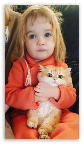 Kid, Kitten UltraHD Wallpaper for Smartphone 16:9 2160p 1440p 1080p 900p 720p ; Mobile 16:9 - 2160p 1440p 1080p 900p 720p ;