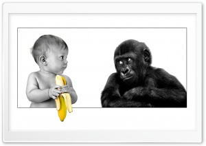 kids monkey Ultra HD Wallpaper for 4K UHD Widescreen desktop, tablet & smartphone